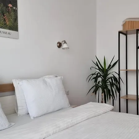 Апартаменты Penthouse Waldo Брашов