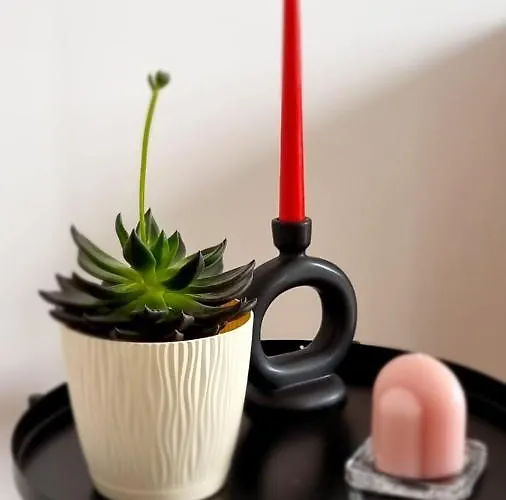 Penthouse Waldo Апартаменты *