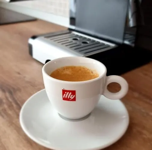 Penthouse Waldo Brasov